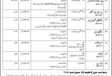 Bureau Of Emigration & Overseas Employment BEOE Jobs 2015 NTS Form Date