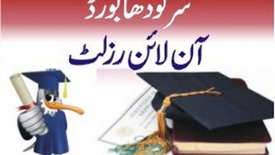 Sargodha Board Matric 10th Class Supplementary Result 2025