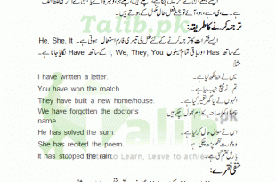 Present Perfect Tense Exercises In Urdu To English Examples