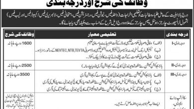 Punjab Workers Welfare Board Talent Scholarship 2025 Form, Last Date