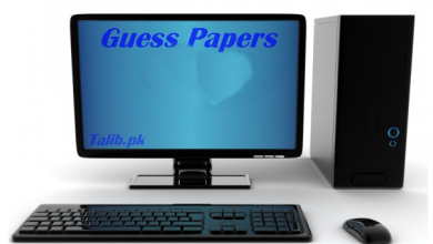 10th Class Computer Guess Paper 2025 Lahore Board