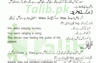 Past Continuous Tense In Urdu And English Exercise Sentence Formula