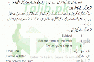 Past Indefinite Tense In Urdu To English Exercise Sentence Examples ,,