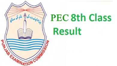 PEC Vehari Board 8th Class Result 2025
