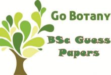 BSc Botany Guess Paper 2025 Punjab University