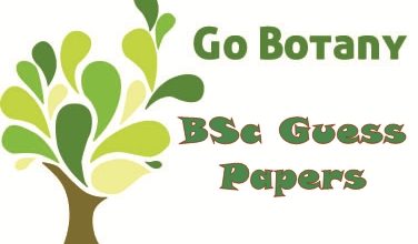 BSc Botany Guess Paper 2025 Punjab University 15 BSc Botany Guess Paper 2025 Punjab University