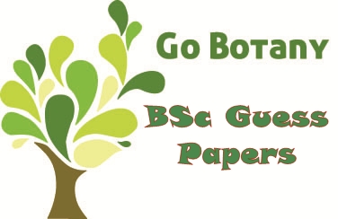 BSc Botany Guess Paper 2022 Punjab University