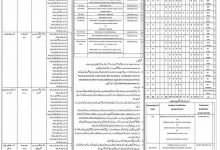 District Jhelum Educators Jobs 2016 Application Form