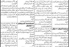 Sindh Finance Department Director, Assistant Director Jobs 2016 Apply online