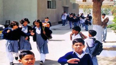 Summer Vacation 2025 In Punjab Notification