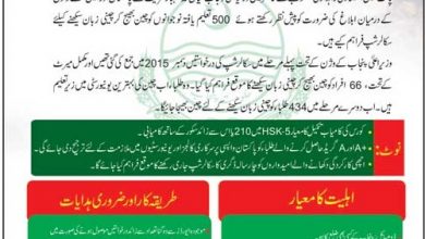 CM Punjab Chinese Language Scholarship Scheme 2016