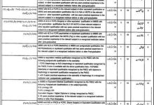 Health Department District Okara Jobs 2016 Application Form Date Advertisement