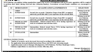Merit Testing Service Pakistan Jobs 2016 MTS Application Form Download