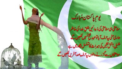 6th September 1965 India Pakistan War History Defence Day