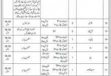 GEPCO WAPDA Gujranwala Jobs 2016 Application Form Download, Last Date