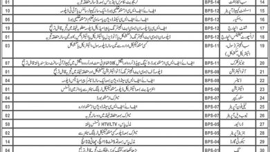 PDMA Balochistan Jobs 2025 CTSP Application Form Last Date