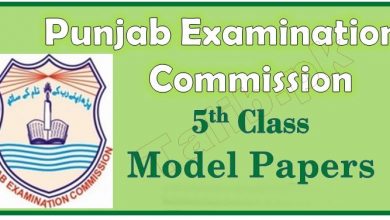 PEC 5th Class Model Papers 2025 Download Past Paper Pattern English, Math, Science, Urdu Subjects