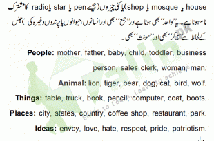 Common Noun Definition In Urdu With Examples