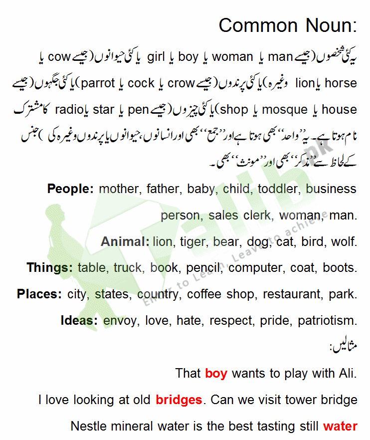 Common Noun Definition In Urdu With Examples 