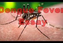 Dengue Fever In Pakistan Essay