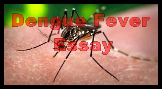 Dengue Fever In Pakistan Essay