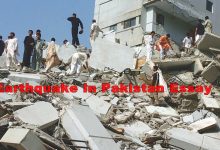 Earthquake In Pakistan Essay In English