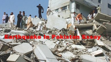 Earthquake In Pakistan Essay In English
