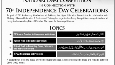 Essay And Speech Competition 2025 Punjab Government Registration Form