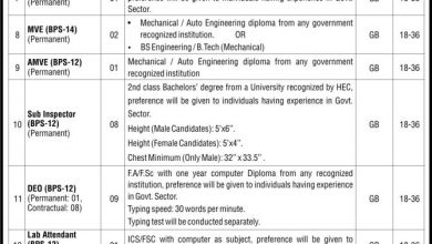 GB Excise & Taxation Department Jobs 2016 NTS Application Form, Eligibility