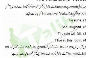 Transitive Verb and Intransitive Verb Definition and Examples in Urdu