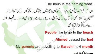 Noun Definition And Examples In Urdu Kinds Of Noun