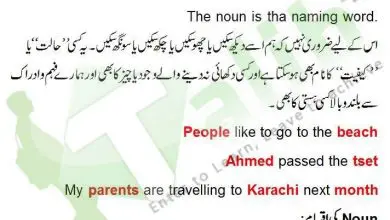 Noun Definition And Examples In Urdu Kinds Of Noun 5 Noun Definition And Examples In Urdu Kinds Of Noun