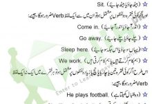 Verb Definition And Examples In Urdu Kinds Of Verb