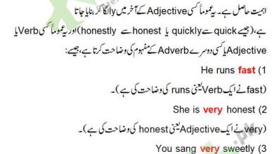 Adverb Definition And Examples In Urdu, Kinds Of Adverb