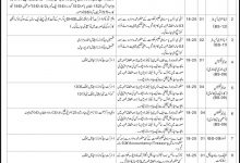 Computer Operator Jobs 2016 In Health Department Jhang NTS Form, Test Date