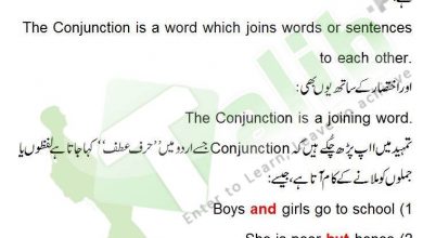 Conjunction Definition And Examples In Urdu, Kinds Of Conjunction