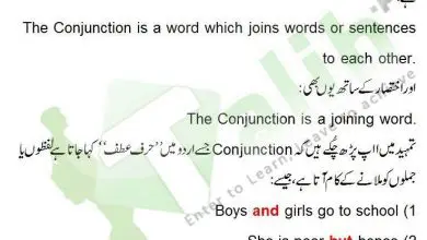 Conjunction Definition And Examples In Urdu, Kinds Of Conjunction 9 Conjunction Definition And Examples In Urdu, Kinds Of Conjunction