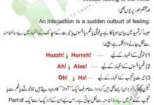 Interjection Definition And Examples In Urdu With Exercise Sentences 3 Interjection Definition And Examples In Urdu With Exercise Sentences
