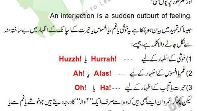 Interjection Definition And Examples In Urdu With Exercise Sentences
