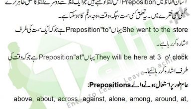 Preposition Definition And Examples In Urdu, Preposition List