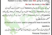 Pronoun Definition And Examples In Urdu Kinds Of Pronoun