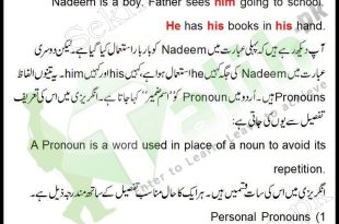Pronoun Definition And Examples In Urdu Kinds Of Pronoun
