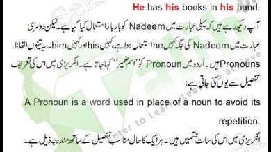 Pronoun Definition And Examples In Urdu Kinds Of Pronoun