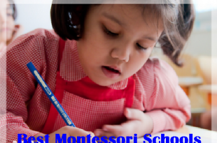 Best Montessori Schools In Lahore