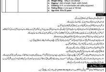 TESCO WAPDA Jobs 2025 NTS Application Form, Last Date