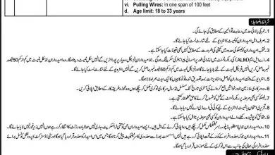 TESCO WAPDA Jobs 2026 6 TESCO WAPDA Jobs 2026 NTS Application Form, Last Date