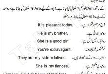 Use of Is, Are, Am in English Grammar In Urdu With Examples