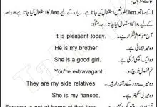 Use Of Is, Are, Am In English Grammar In Urdu With Examples 3 Use of Is, Are, Am in English Grammar In Urdu With Examples