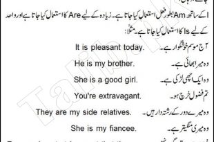 Use of Is, Are, Am in English Grammar In Urdu With Examples