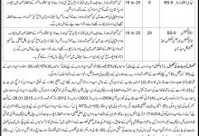 District Health Authority Okara Jobs 2017 NTS Application Form, Test Date, Eligibility